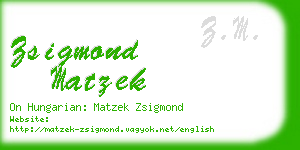 zsigmond matzek business card